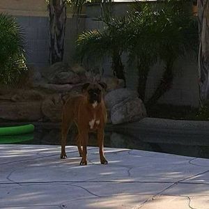 Meet your Posher, Jon